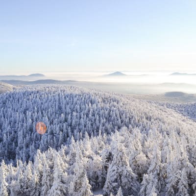 Brome-Missisquoi Region