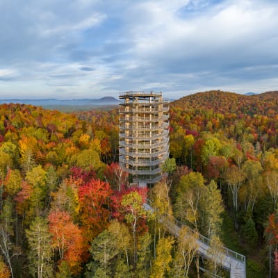 The Color Odyssey at Sentier des cimes
