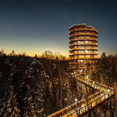 Lumagica - The Treetop Walk Lights Up