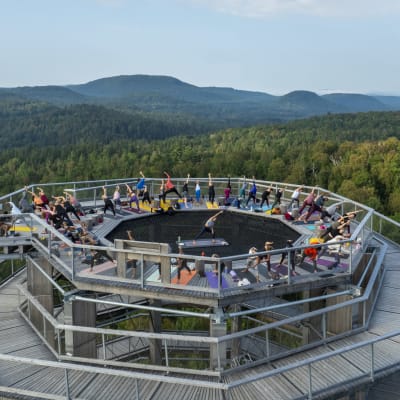 Yoga - sunset edition