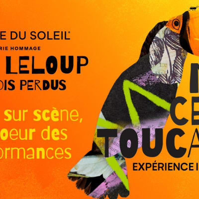 Immersive experience | NOS CENTS TOUCANS
