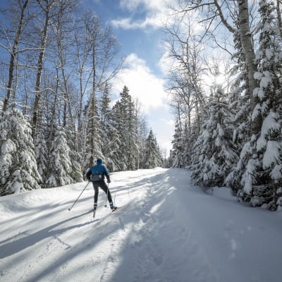 Cross-country skiing at Mont Grand-Fonds