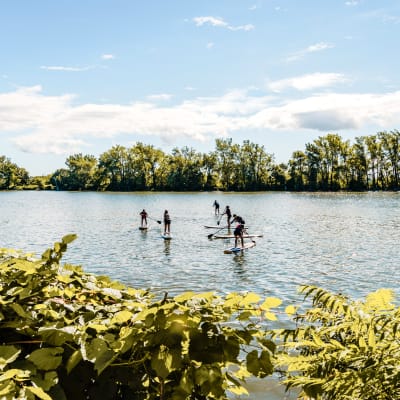SUP - Échappée Bleue