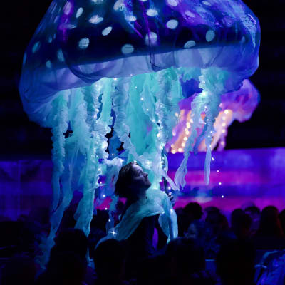 Théâtre de la Dame de Cœur