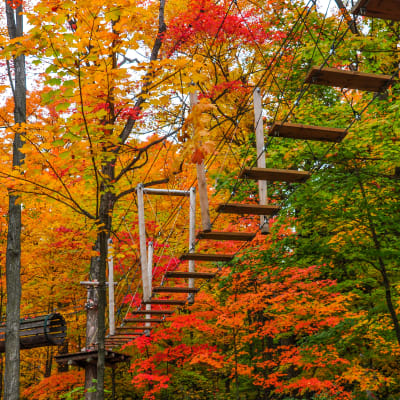 Tourism Drummondville