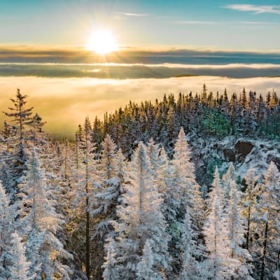 Jacques-Cartier Region