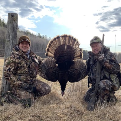 Forfait Chasse au dindon sauvage - Pourvoirie de la Lièvre