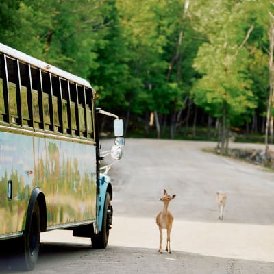 Guided Omega experience