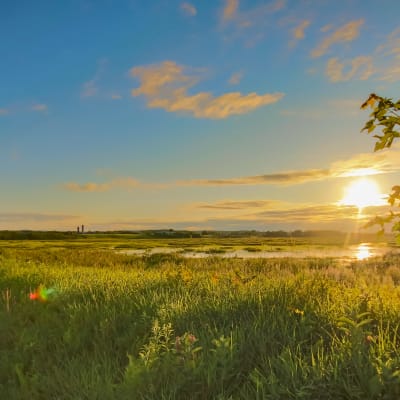 Birdwatching at Parc national de Plaisance