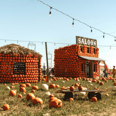 Vaudreuil-Soulanges: Something for every taste. It's in our nature!