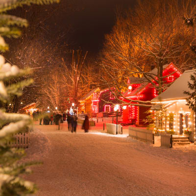 Village Québécois d'Antan