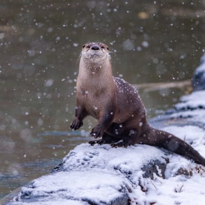 Sunday at the museum