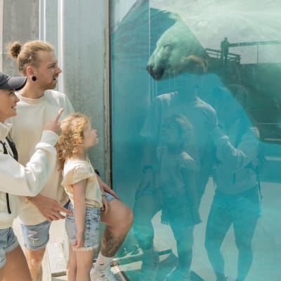 Zoo sauvage of Saint-Félicien