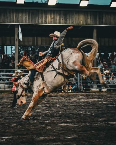 Equestrian rodeo