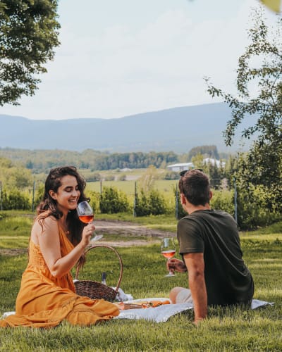 Agritourism in Brome-Missisquoi :picnic