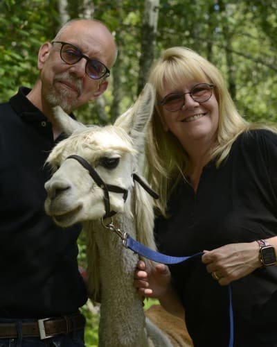Alpagas du Domaine Poissant - Un homme, une femme et un alpaga