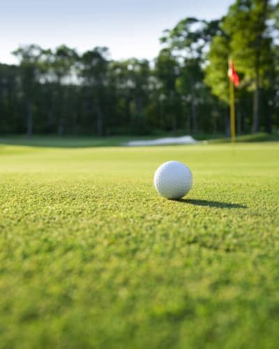 Forfait Golf Multi-Terrains