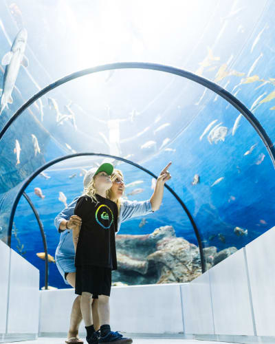 Aquarium du Québec and Breakfast Package