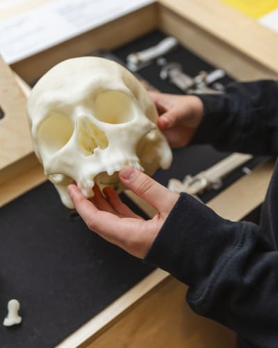 Exhibition Archaeology and Criminal Investigations
