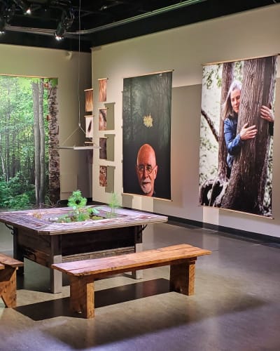 Exposition temporaire Fou d'forêt
