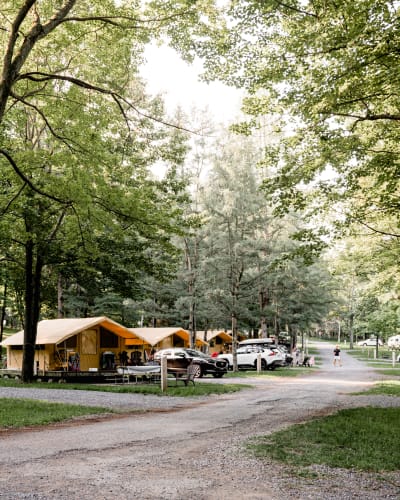 Camping des Voltigeurs