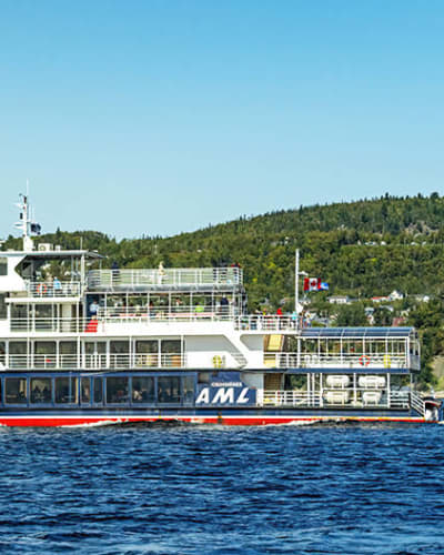 Croisière aux baleines en bateau d'observation à Tadoussac