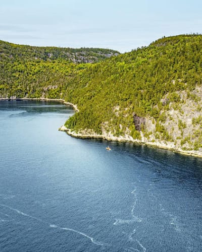 Whale-Watching Tour in Tadoussac and Exploration of the Saguenay Fjord