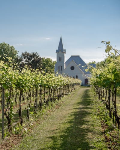 Domaine Amalgames
