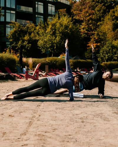 Wellness Promo