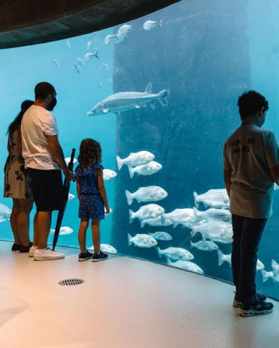 Biodôme – Espace pour la vie