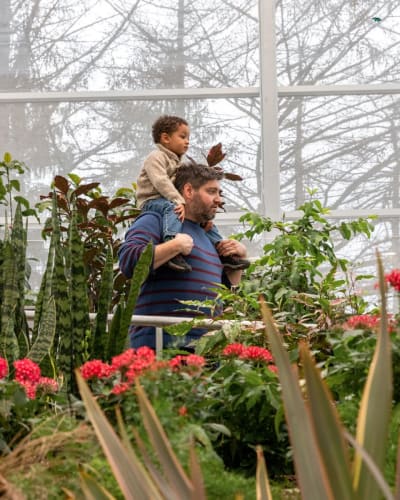 Insectarium - Espace pour la vie