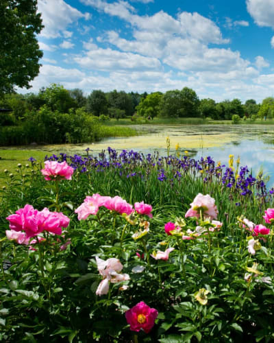 Jardin botanique – Espace pour la vie