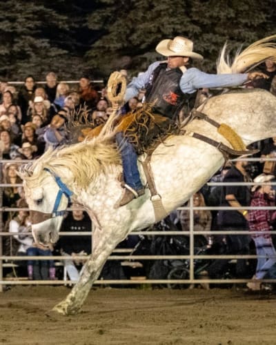 Festival Western Saint-André-Avellin : rodeo