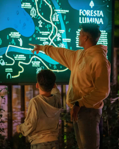 Foresta Lumina - Parc de la Gorge de Coaticook