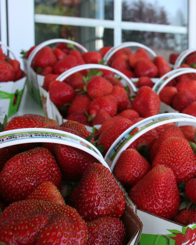 Fraisière Faucher - Strawberry baskets