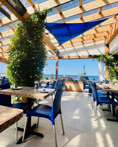 L'APPÂT Buvette : terrasse