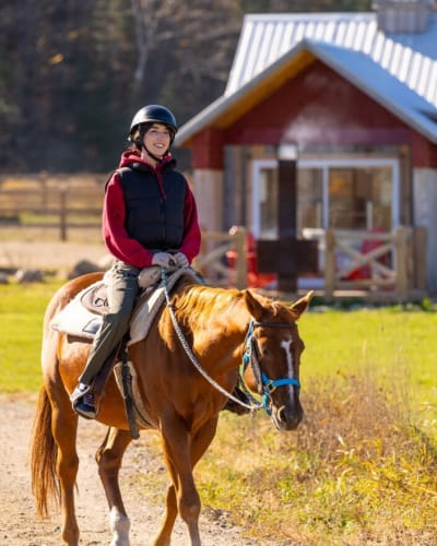 Expériences Équitation