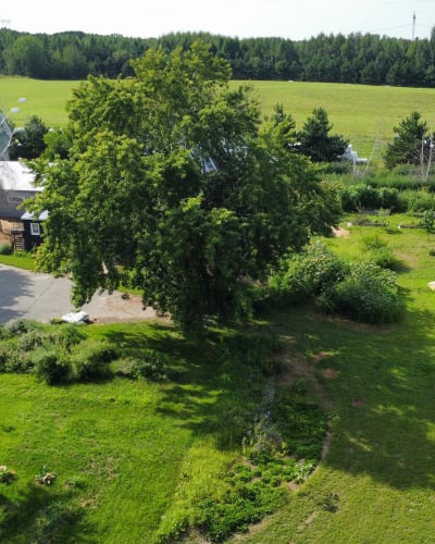 Le Mangeoir - Vue aérienne d'une ferme, avec des tables de pique-nique sur le gazon