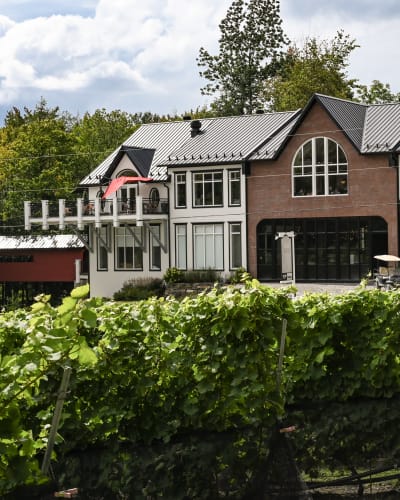Le Vignoble du Ruisseau