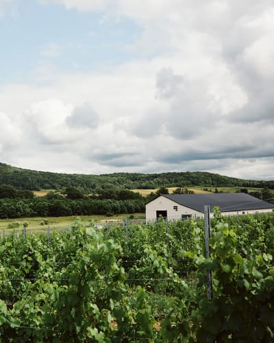 Maison agricole Joy Hill : paysage