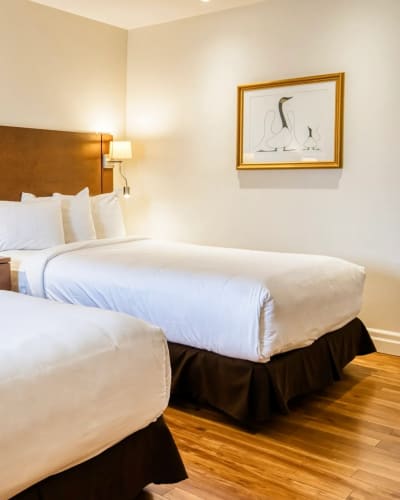 Motel Mistral - Room with two beds