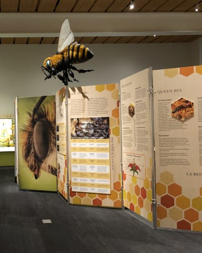 Bees!