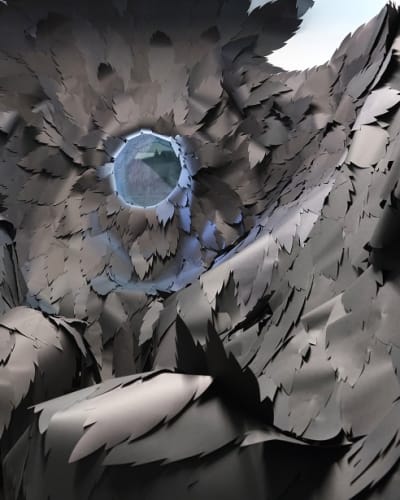 Stéphanie Morissette. Through the Vulture’s Eye