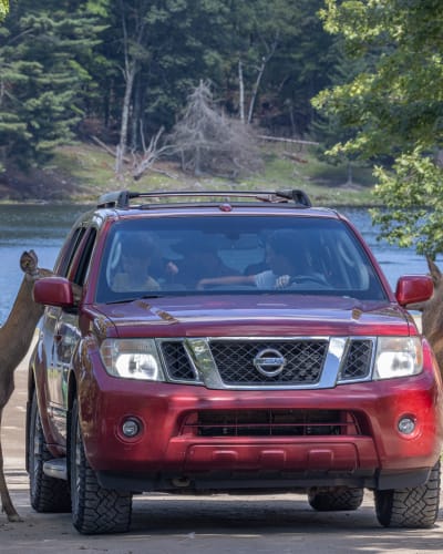 A family adventure this summer