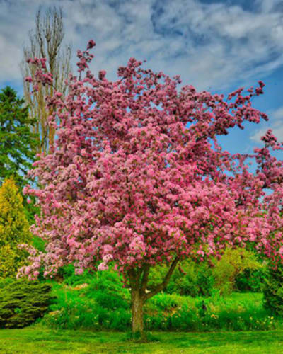 agrotourisme_et_terroir_de_la_region_de_nicolet_yamaska_1