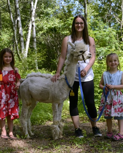 Guided tour of the farm