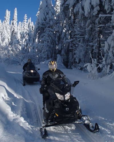 artic_aventure_1