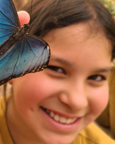 attraction_bfly_quebec_1