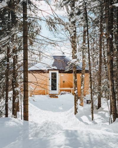 borefuge_1_h