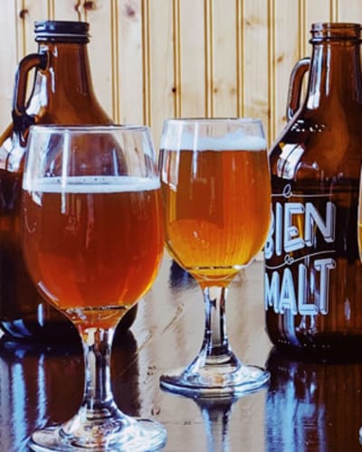 brasserie_artisanale_le_bien_le_malt_1